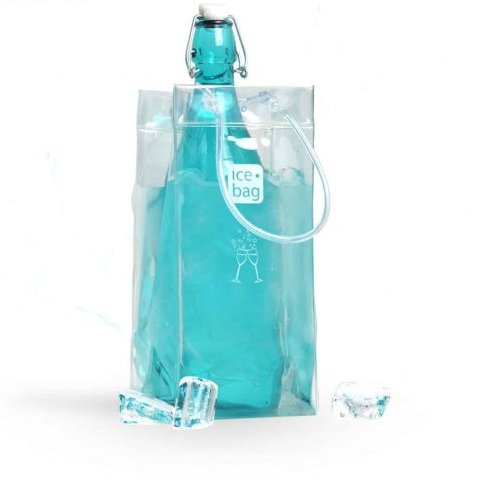 Sac pour bouteille Classic - Transparent - Icebag - Doyon Després